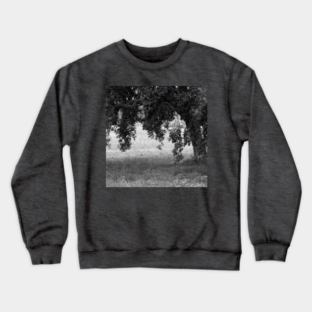 Cork Oak Tree Forest 2 Crewneck Sweatshirt by oknoki